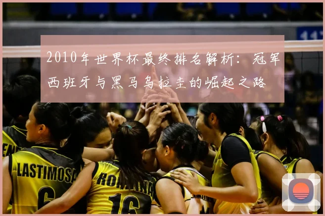 2010年世界杯最终排名解析：冠军西班牙与黑马乌拉圭的崛起之路